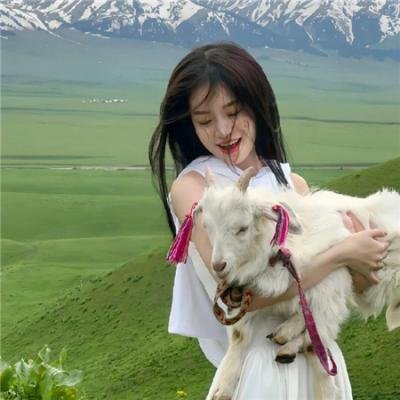 情挑淑女心 排行封面